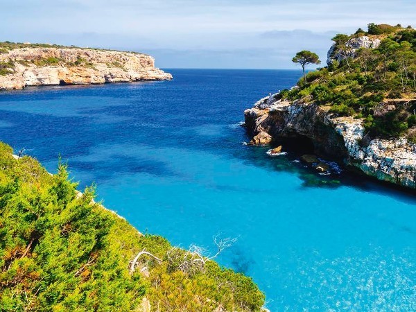 A1 travel deals majorca